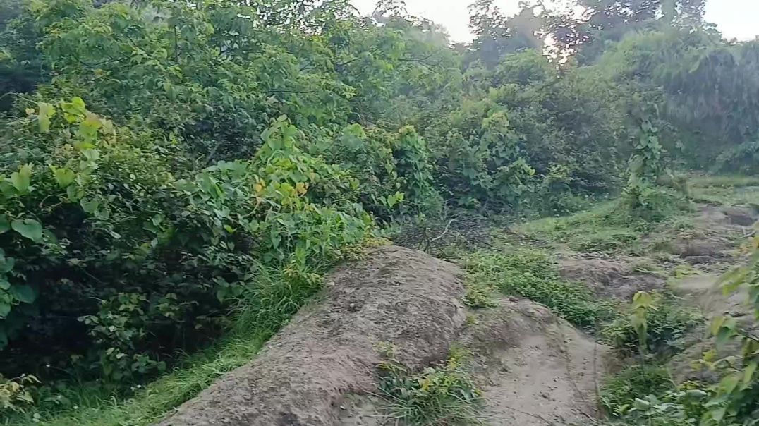 ⁣Hilly walk with birds singing song