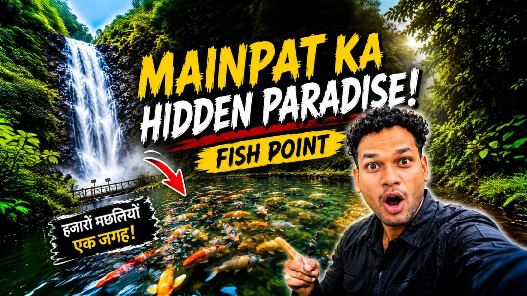 ⁣मैनपाट का फिश पॉइंट। यहां सच में मछलियां हैं या नहीं? 🤔🐟😱 #rockyvlog08 #fishpoint #mainpat