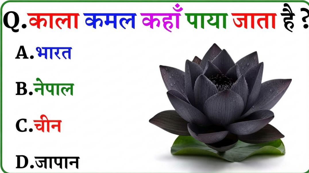 ⁣GK Question || GK In Hindi || GK Question and Answer || GK Quiz || Gk Riya Rawani ||