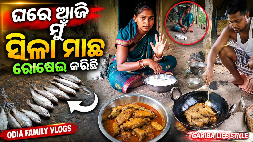 ⁣ଘରେ ଆଜି ମୁଁ ସିଳା ମାଛ ରୋଷେଇ କରିଛି 🐟  ODIA FAMILY VLOGS  GARIBA LIFE STYLE
