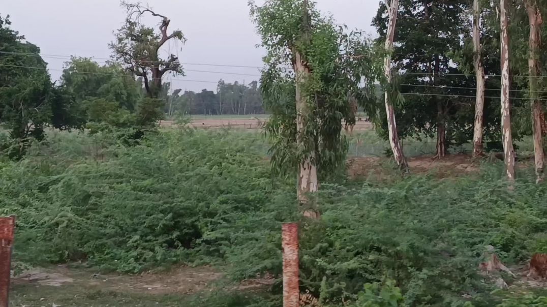 ⁣Video