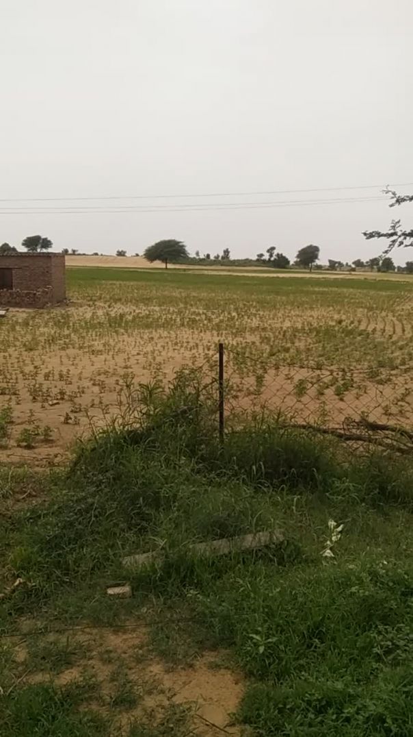 video_20260806_132007