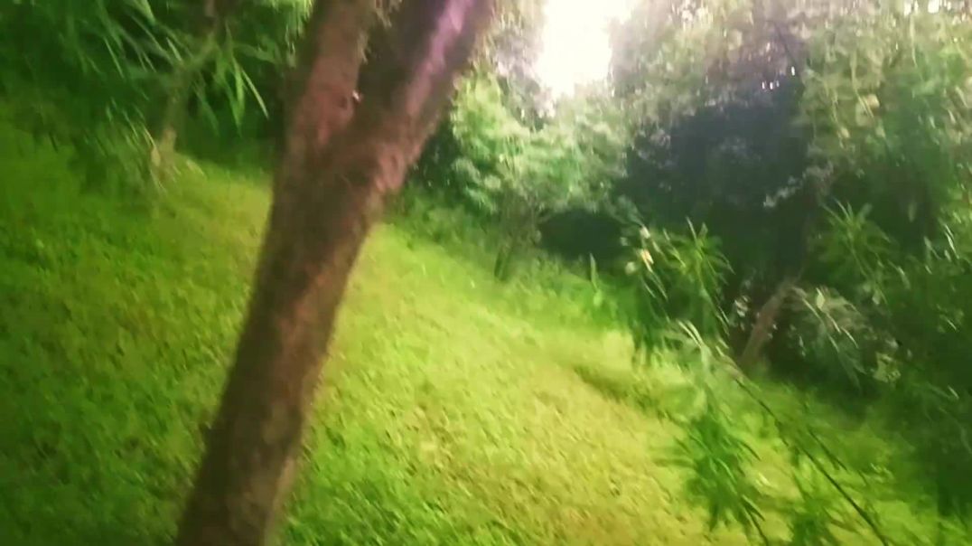 Pyar_keya_hai(1080p)