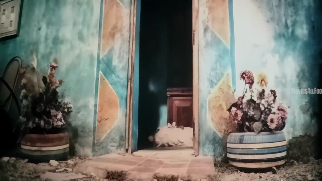 ⁣lee cronins the mummy 2026,720p