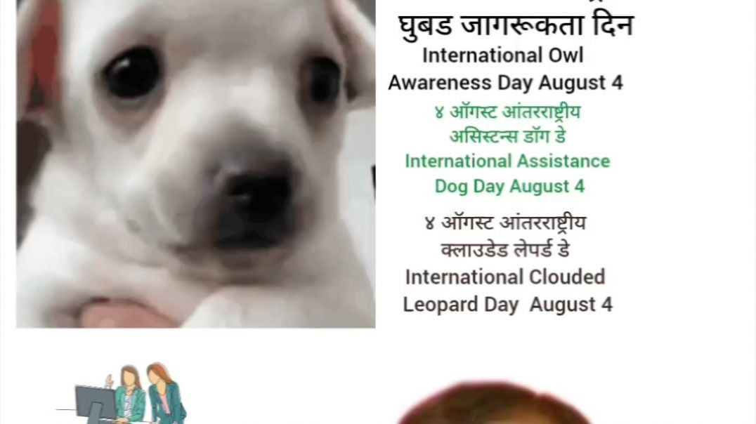 ⁣आंतरराष्ट्रीय ट्रॅफिक सिग्नल दिन