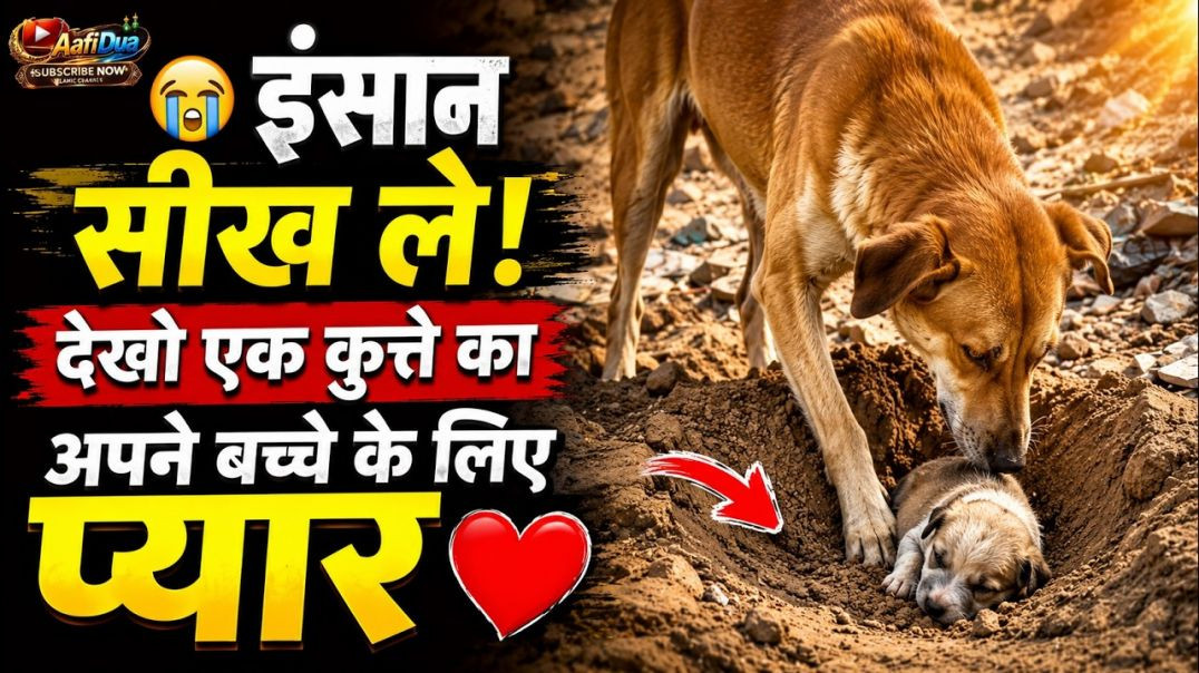 ⁣इंसान भी सीख ले! अपने बच्चे के लिए एक कुत्ते का प्यार ❤ | Emotional Animal Story | Dog Love #shorts🤯