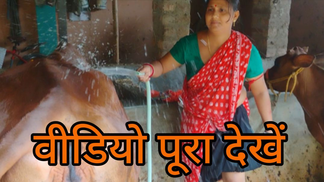 ⁣खुद को मजबूत बनाने के लिए बहुत सारे मेहनत करती है । विलेज फैमिली लाइफ