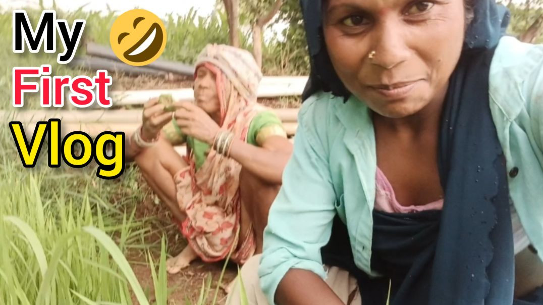 ⁣ऐ कैसे हो गया👌धान लगाते समय My First Vlog 👇 Dehati life vlogs