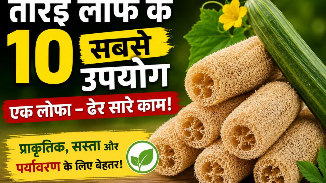 ⁣10 most uses of sponge guard loofa very interesting uses