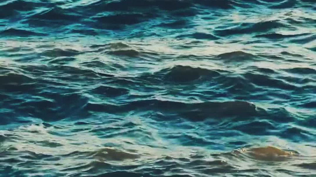 ⁣Video