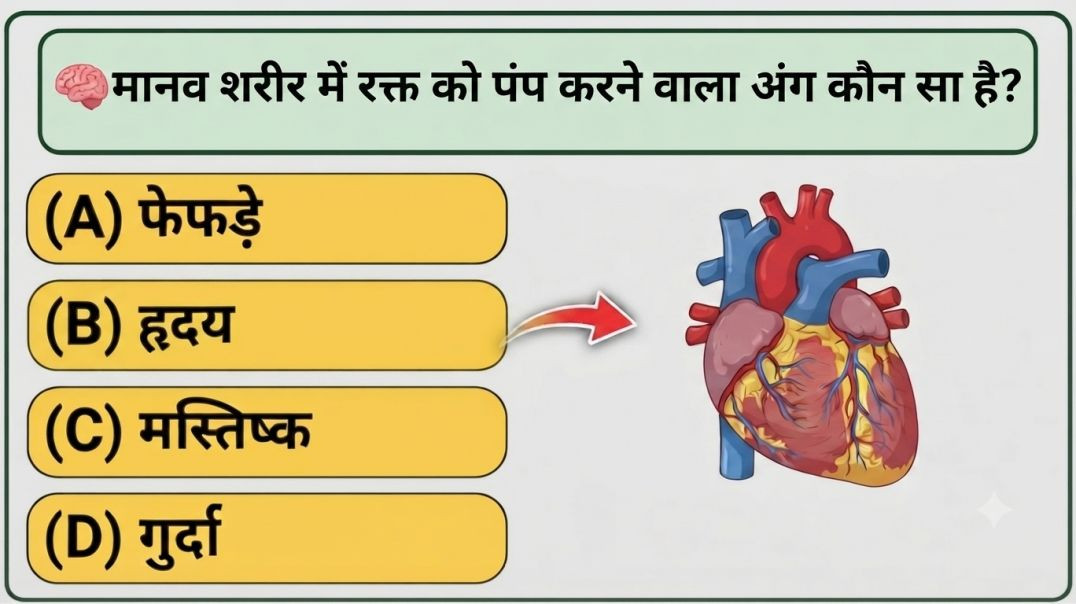 GK_ GK_Question_ stions_And_Answers. T(480p)_