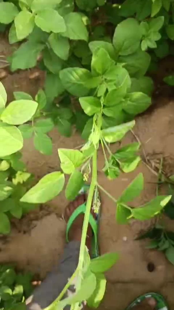 VID-20250903-WA0010